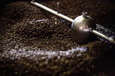 Meke Coffee Roasters Ibiza (Tostadero & Showroom)