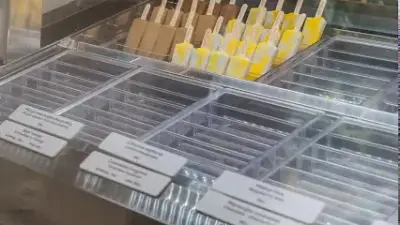 Anjuna Ice Pops