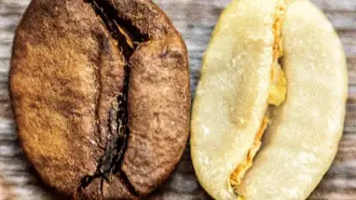 Aliena Coffee Roasters