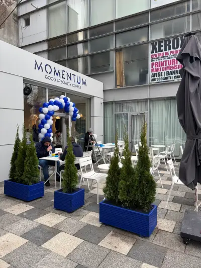 Momentum Specialty Coffee (Bloc A4, Tiglina)