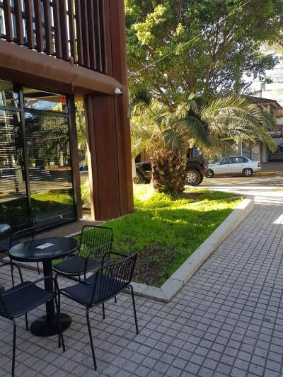 The Shelter Coffee Martínez