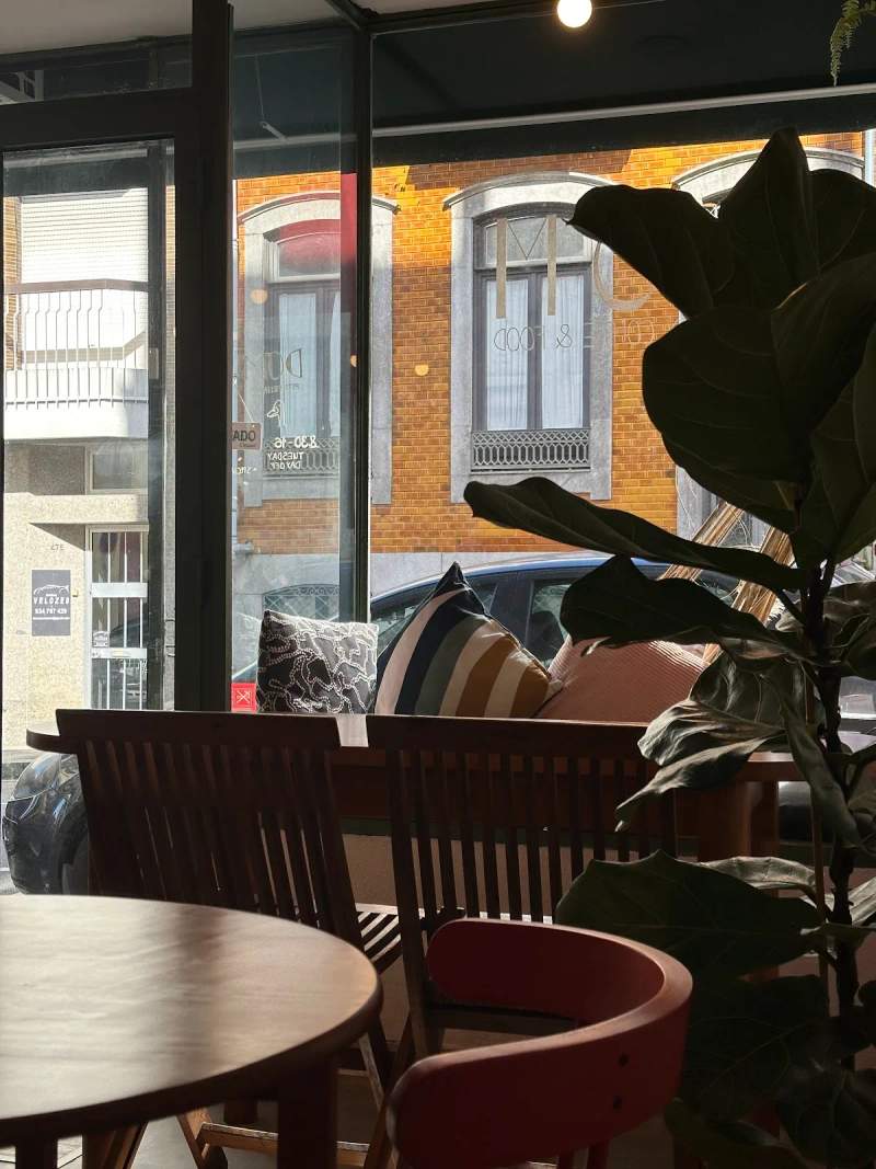 DOM - Specialty Coffee & Brunch 사진