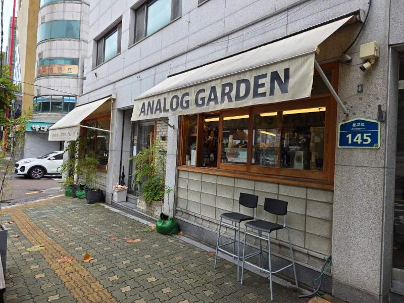 Photo of Analog Garden