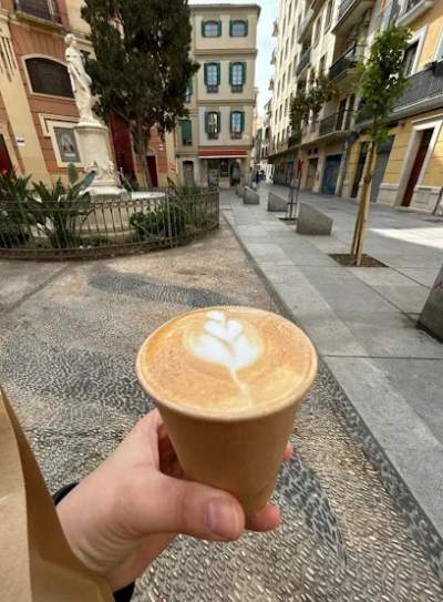 Artisan Coffee Roaster