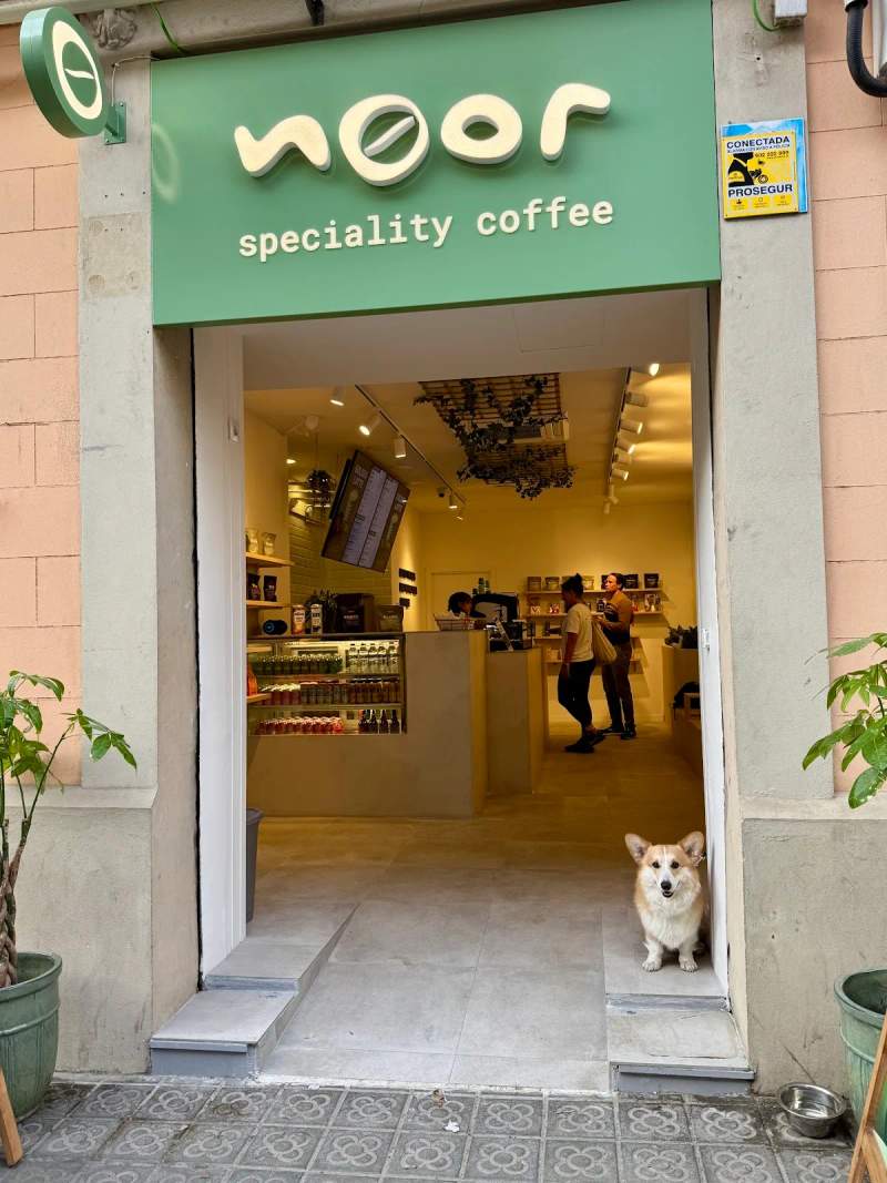 Photo of Noor | Specialty Coffee