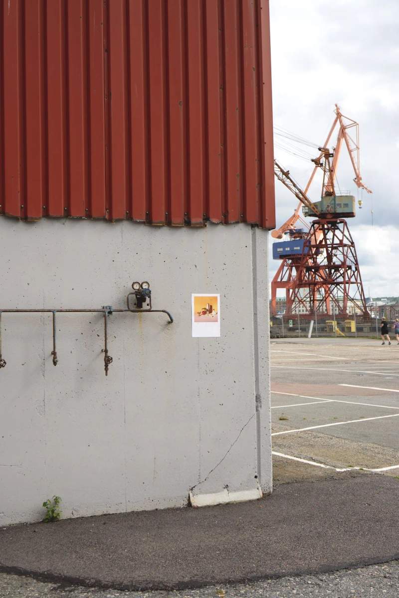 Photo of Morgon Coffee Roasters