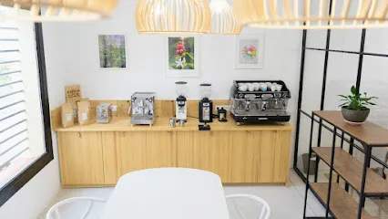 Formación 사진