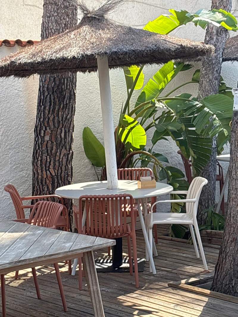 TRECE Brunch & Speciality Coffee 사진