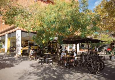 Cafè de Finca