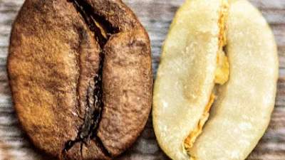 Aliena Coffee Roasters