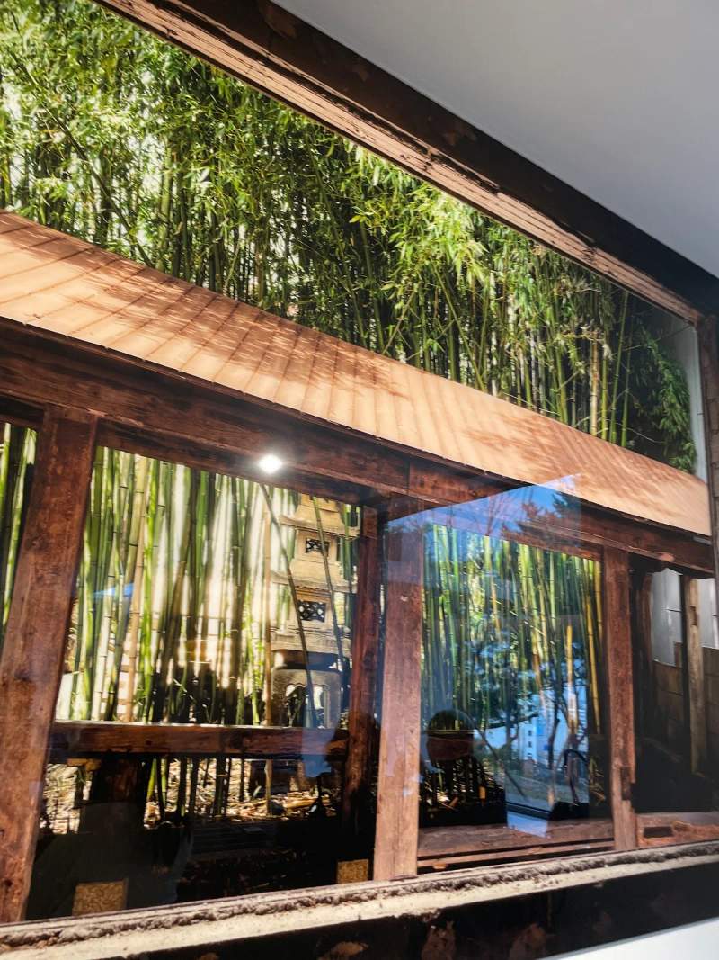 Photo of Momos Coffee Domohun Branch