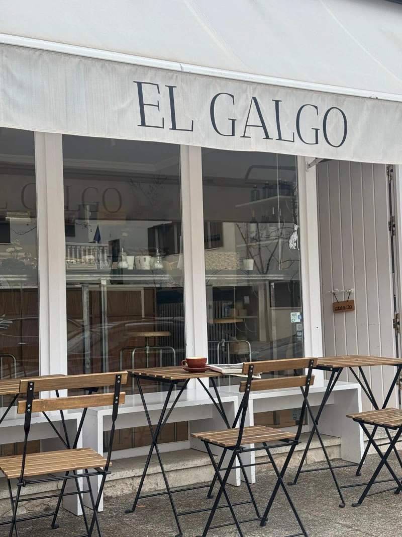 Photo of El Galgo Coffee Studio