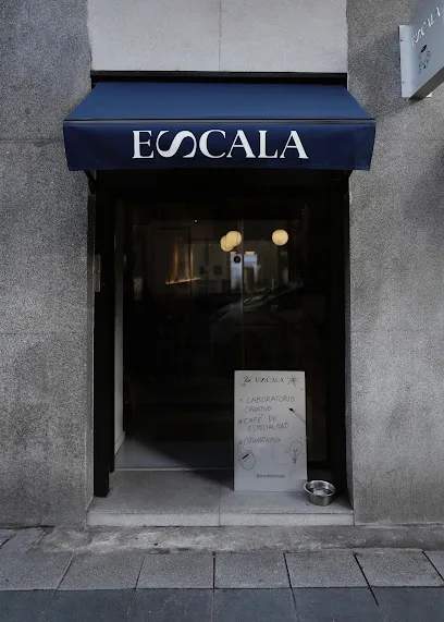 Photo of Escala House