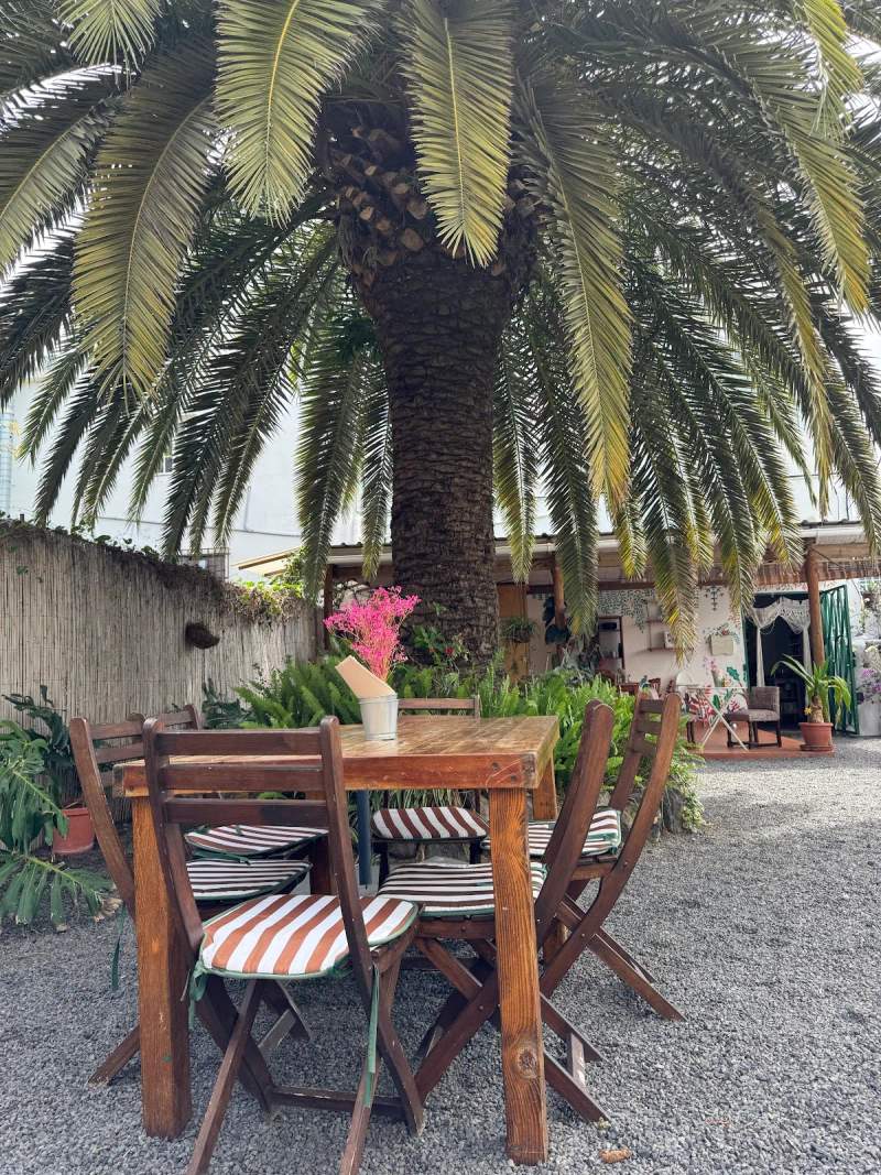 Photo of La Papaya specialty coffee & vegetarian brunch