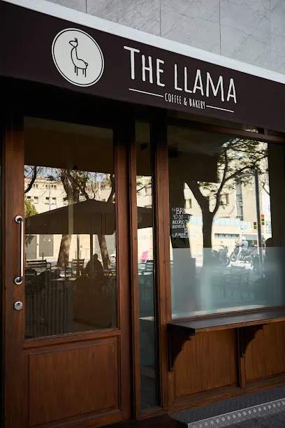 Photo of The Llama