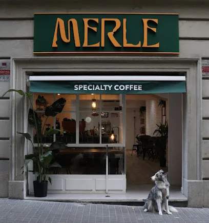 Photo of Merle Coffee