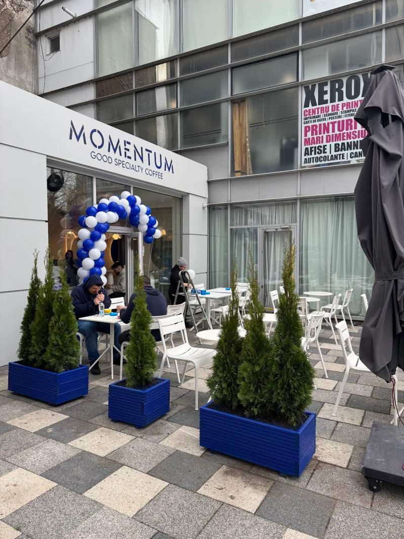 Photo of Momentum Specialty Coffee (Bloc A4, Tiglina)
