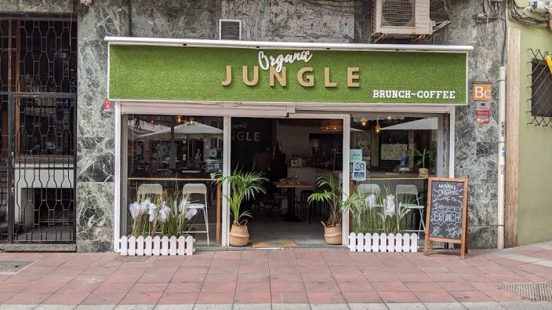 Photo of Organic Jungle