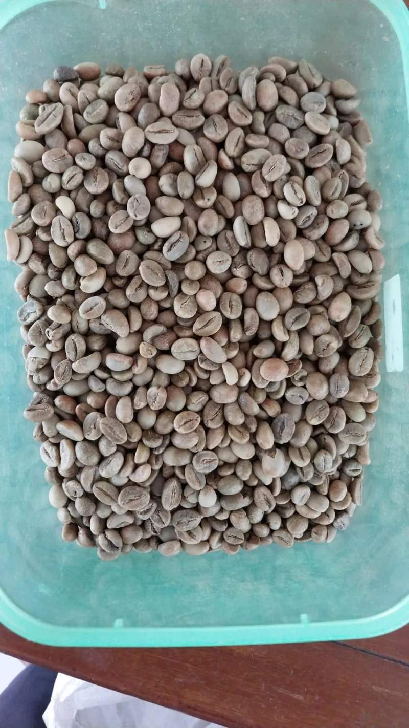 Photo of Atlas Coffee Importers