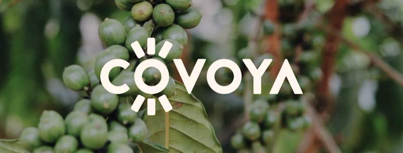 Photo of Covoya Ltd.